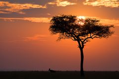 Guten Morgen Afrika