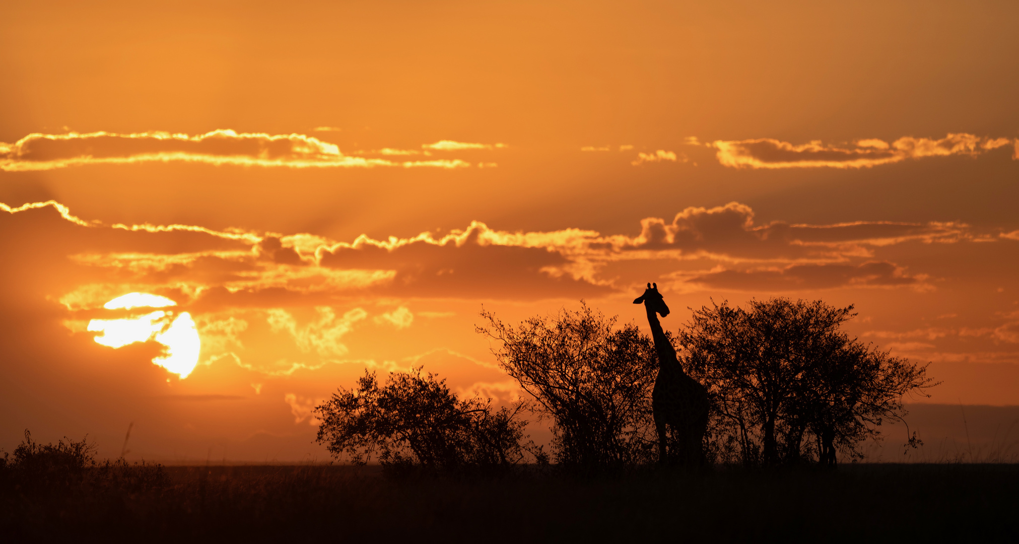 Guten Morgen Afrika