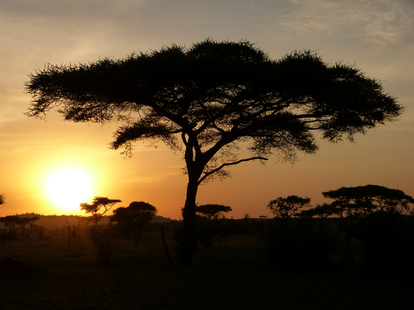 Guten Morgen, Afrika!