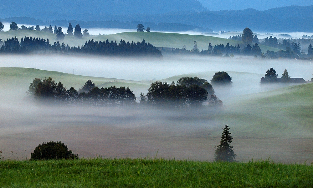 Guten Morgen Allgäu !