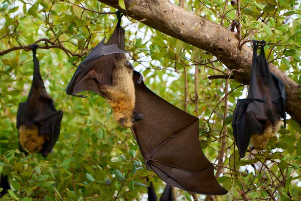 Guten Morgen am Abend!