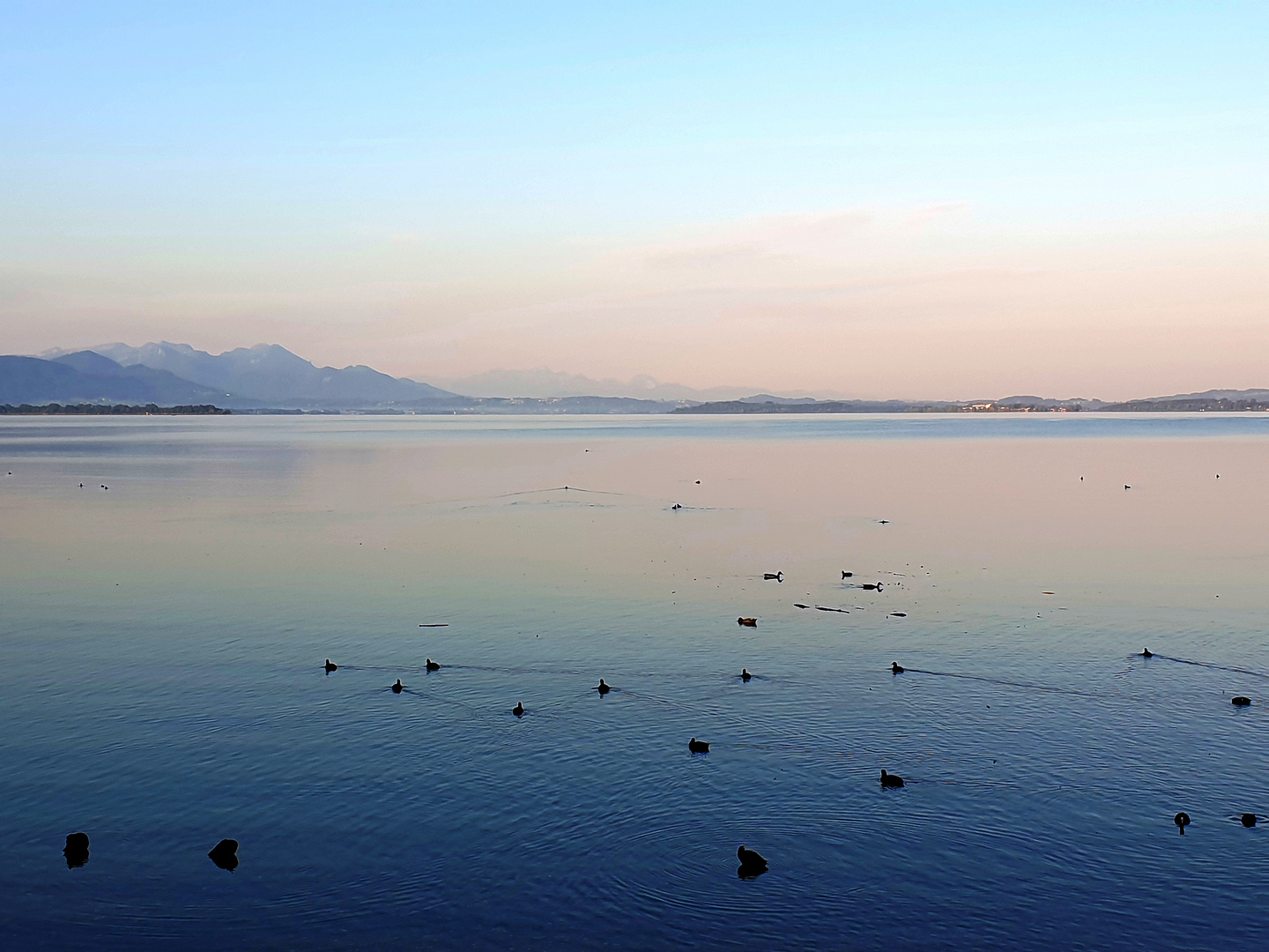 Guten Morgen am Chiemsee 