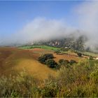 guten Morgen Andalusien