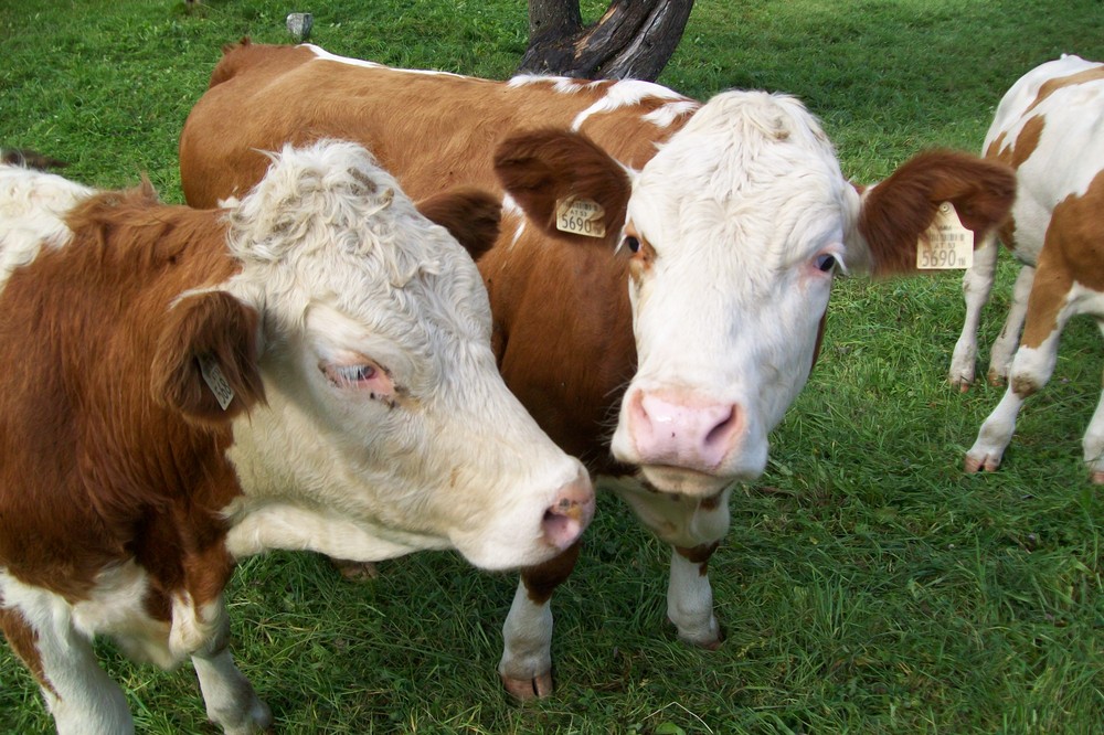 Guten Morgen Bärbel, na wie geht's denn so?