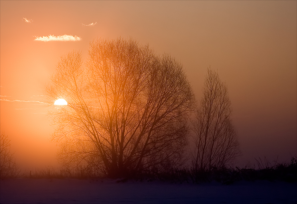 Guten Morgen...