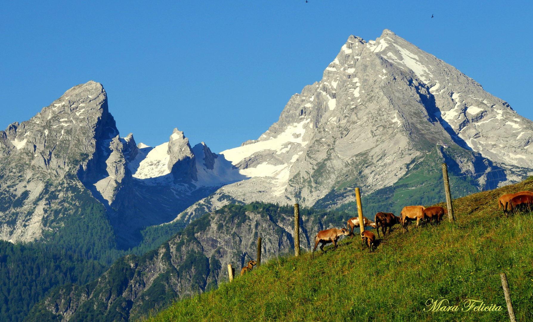 GUTEN MORGEN BERCHTESGADEN! Foto & Bild | natur, berge ...