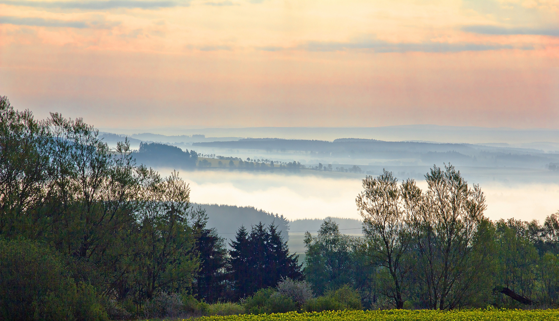 Guten Morgen Brandenburg