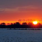 Guten Morgen Brandenburg