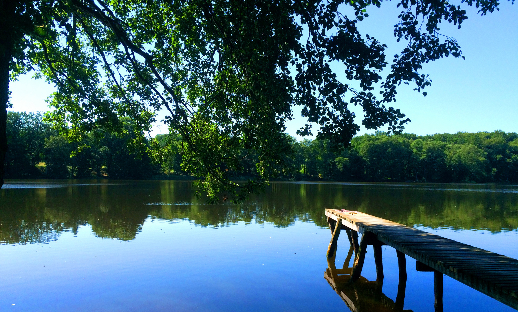 Guten Morgen Brandenburg