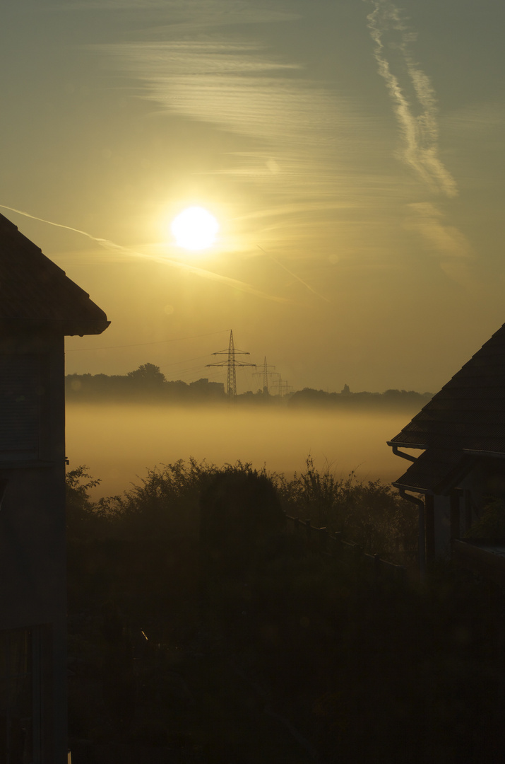 Guten Morgen Braunschweig