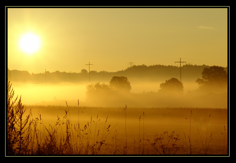 Guten Morgen...