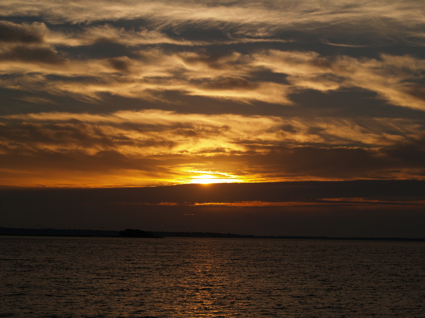 Guten Morgen, Charleston!