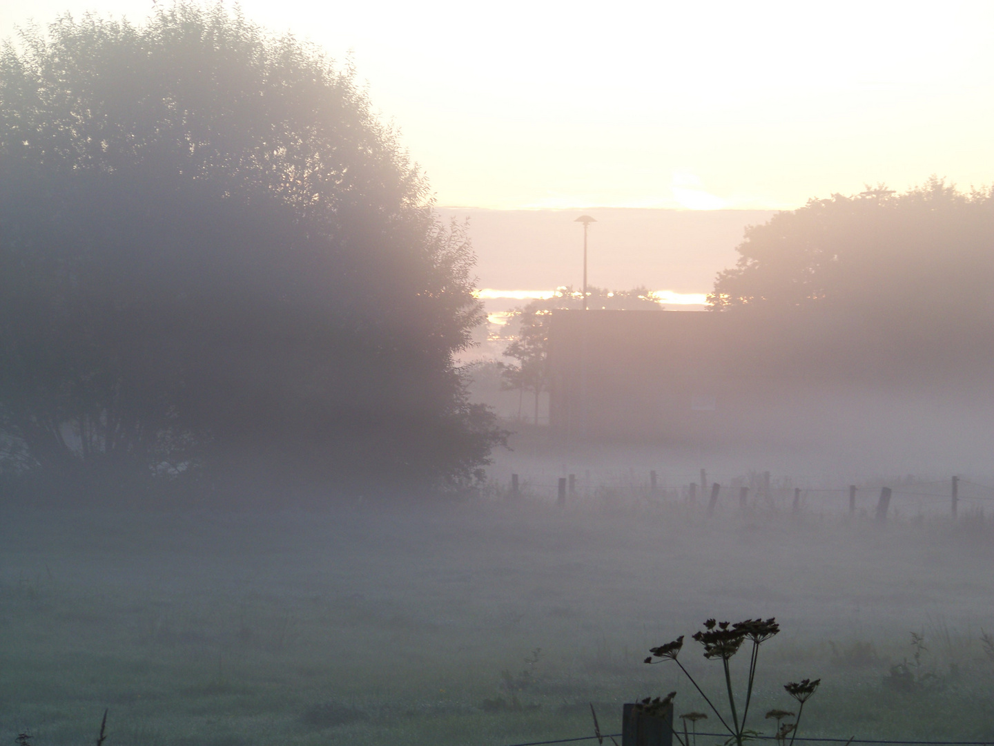 Guten Morgen Deutschland!