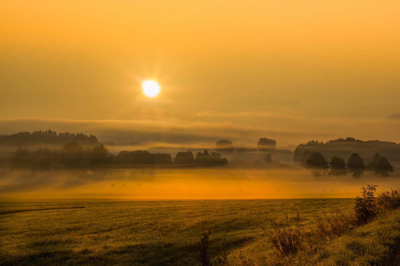 Guten Morgen Deutschland