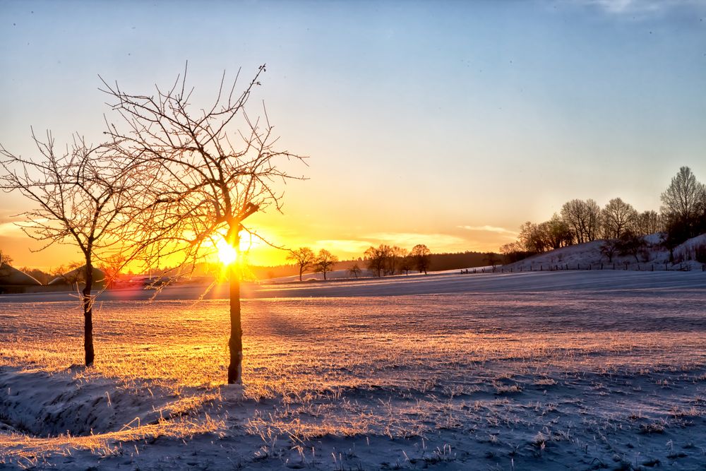 Guten Morgen Bild Winter: A Journey Through Art and Inspiration