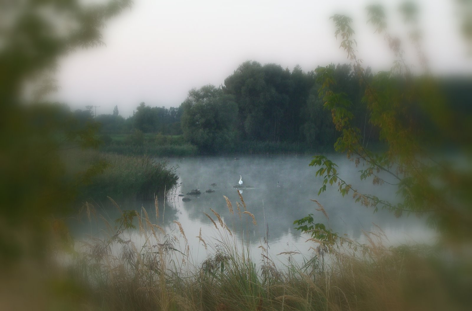 Guten Morgen... Ein neuer Tag beginnt