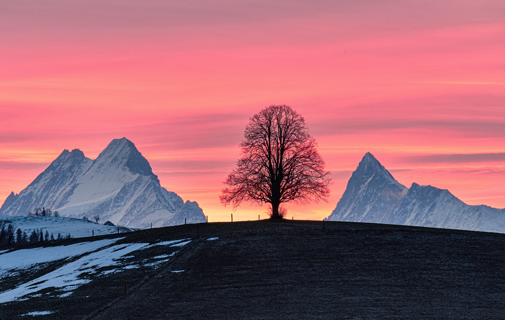 Guten Morgen Emmental