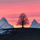 Guten Morgen Emmental