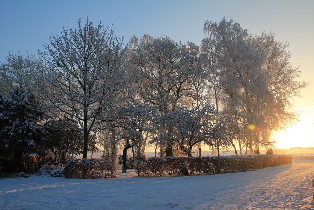 Guten Morgen Emsland by EmslandPixel