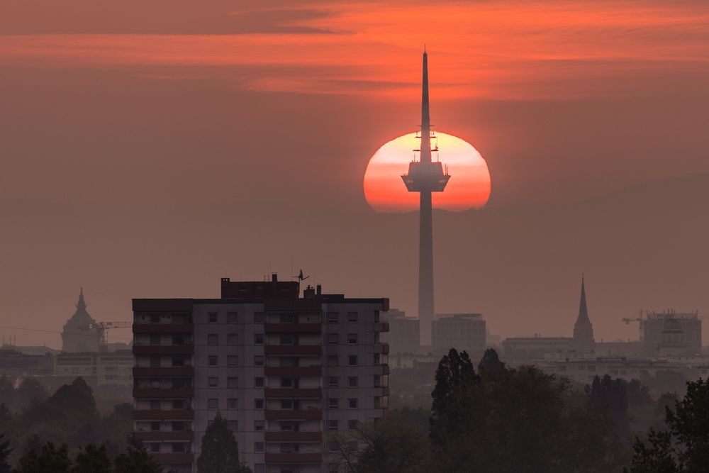 Guten Morgen, erster Mai!