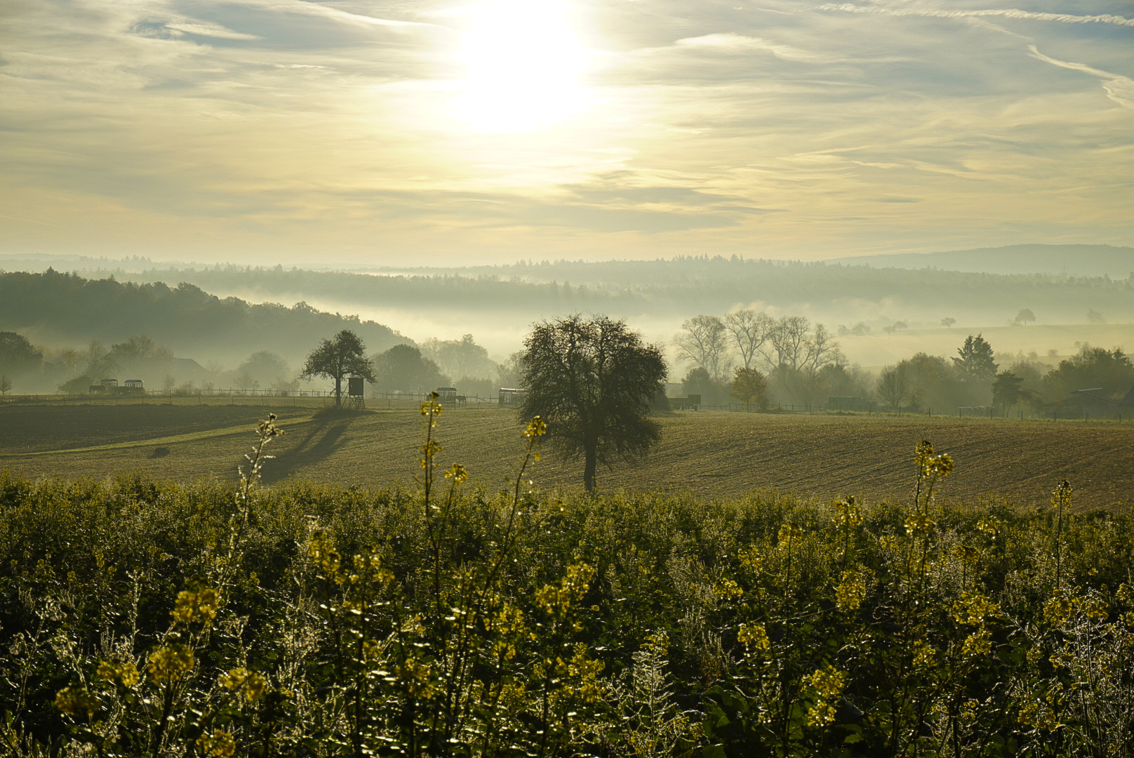 Guten Morgen!