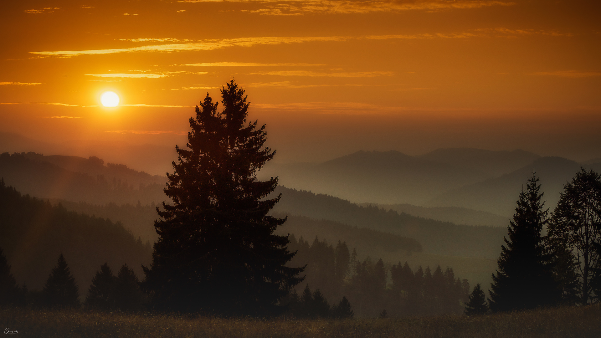 Guten Morgen