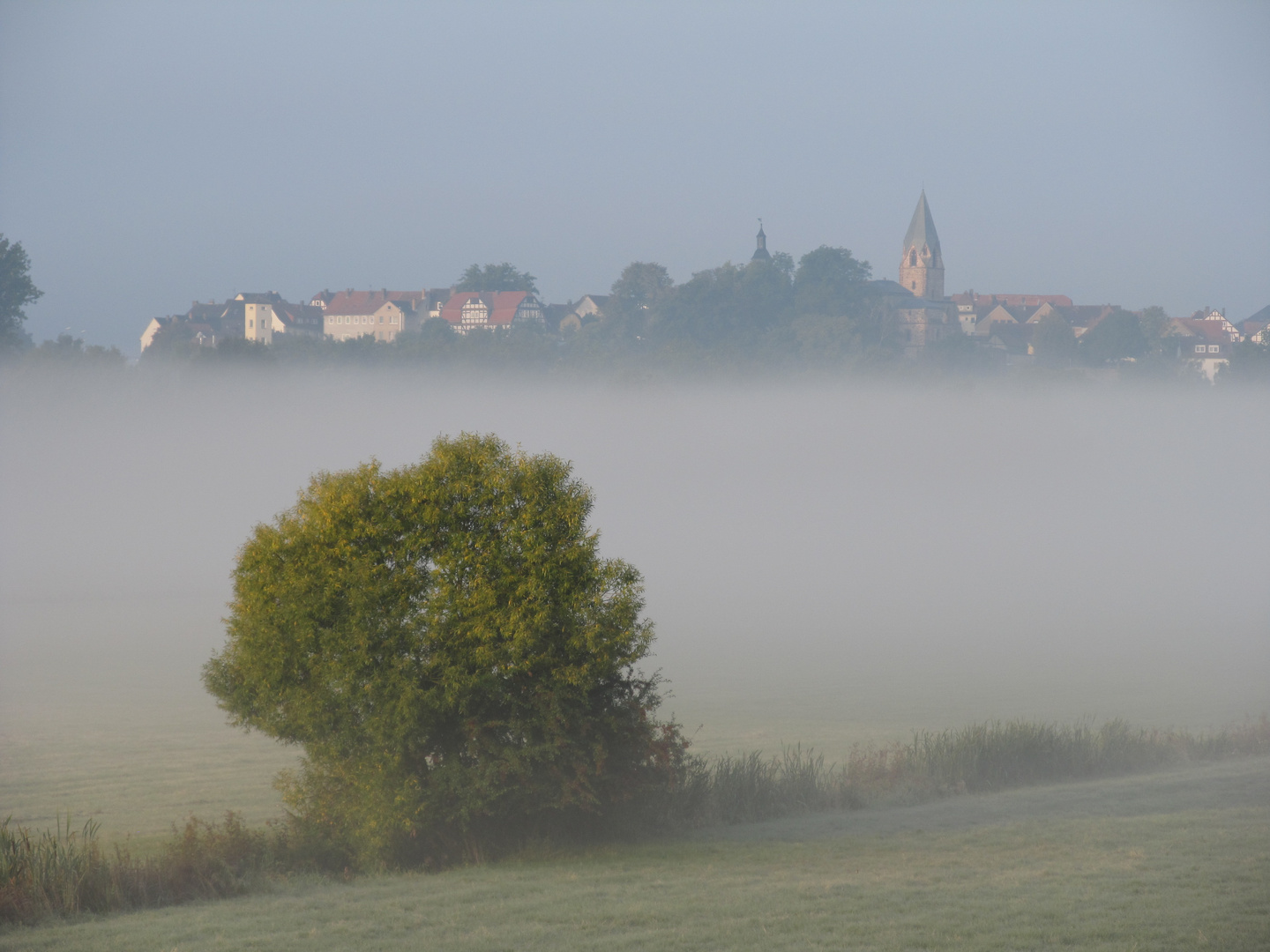 Guten-Morgen-Foto