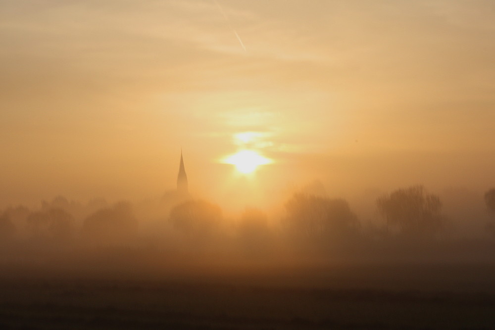 Guten Morgen Geisenhausen