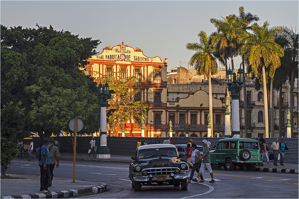 guten Morgen Havanna
