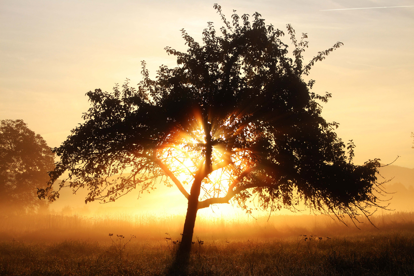 Guten Morgen Herbst Foto Bild Jahreszeiten Herbst Natur Bilder Auf Fotocommunity