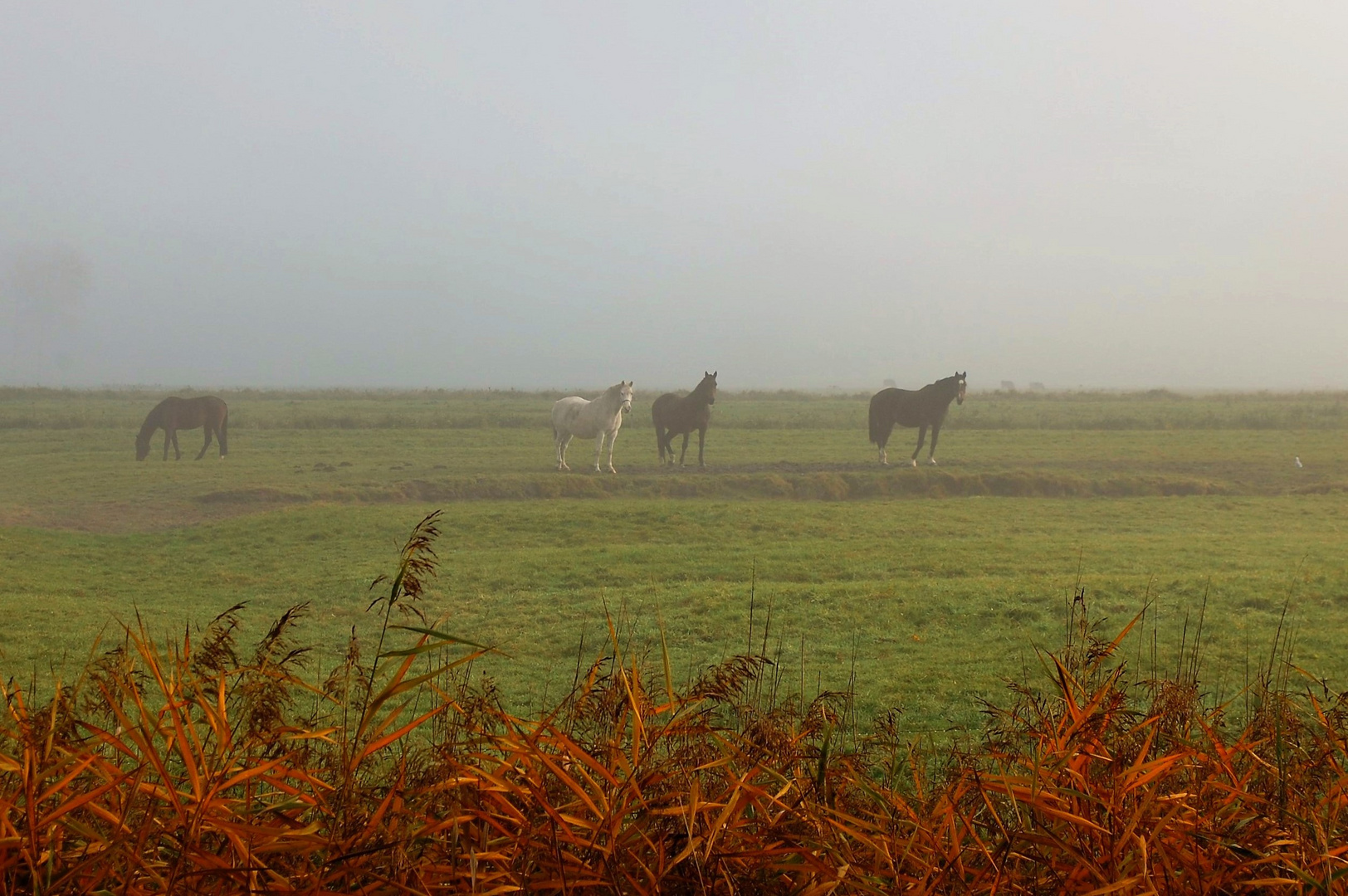 Guten Morgen Herbst