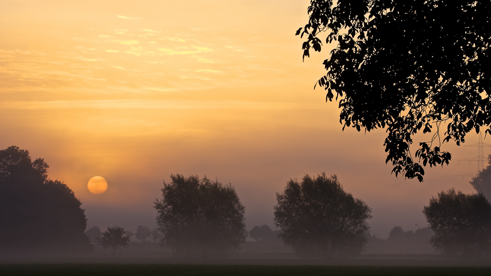 Guten Morgen Herbst