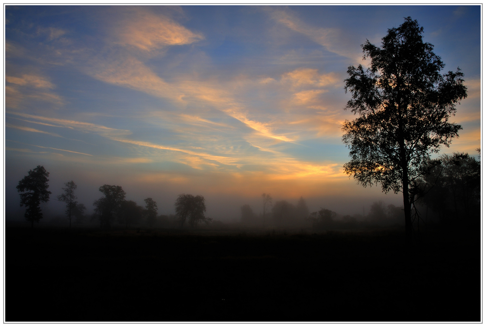 Guten Morgen Hohes Venn