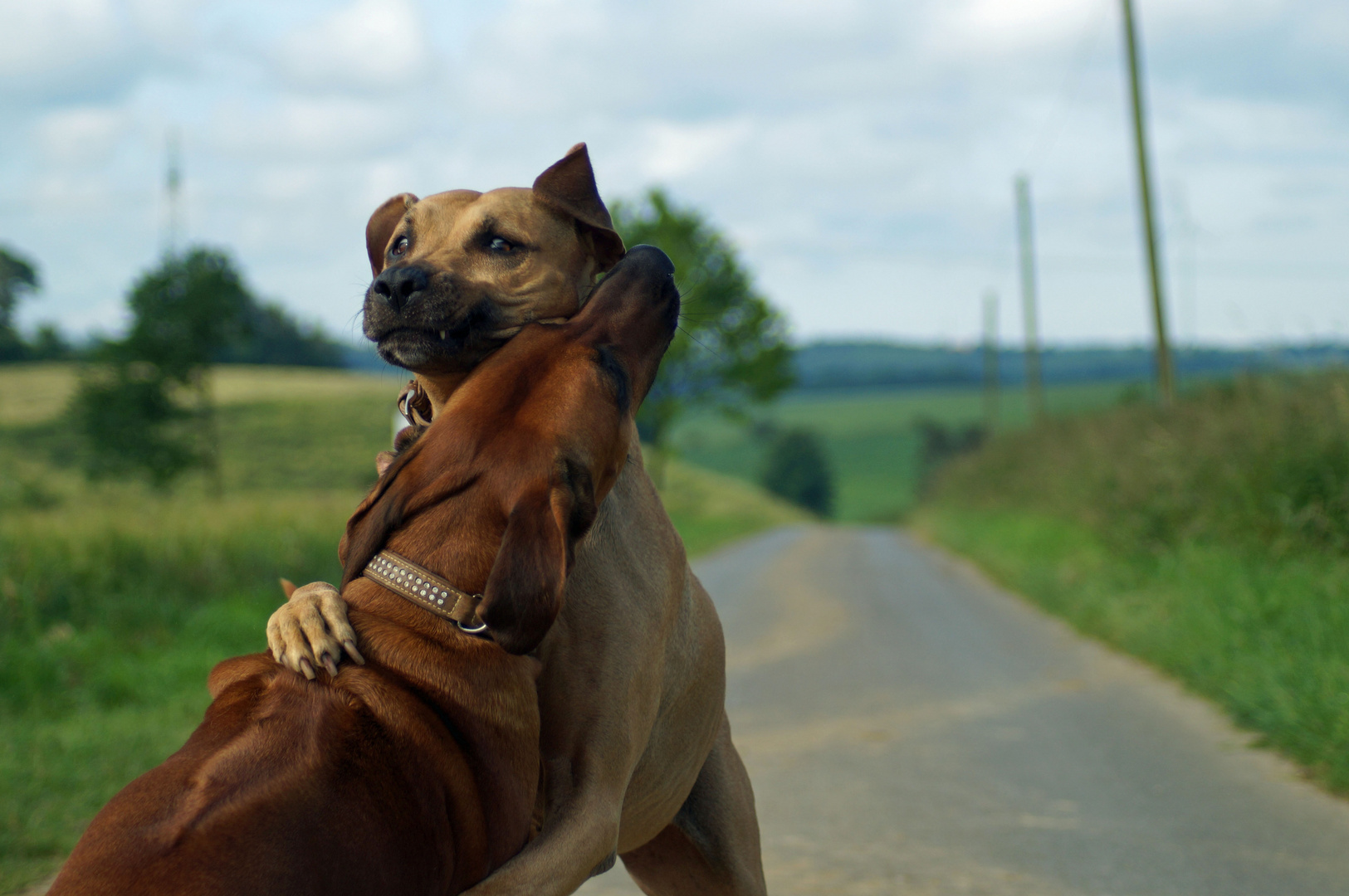 Guten Morgen ...ich hab dich auch so lieb!