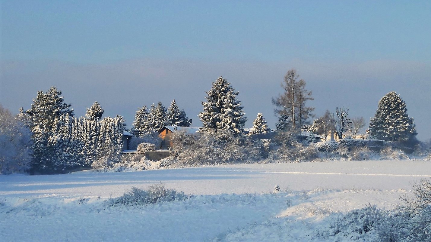 Guten Morgen Im Schnee Foto Bild World Landschaften Winter Bilder Auf Fotocommunity