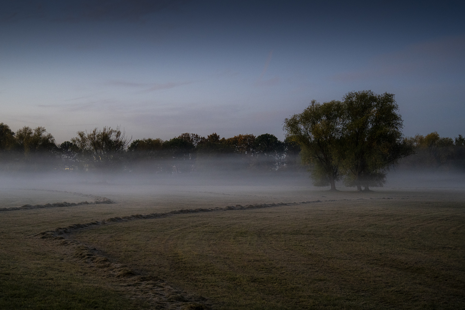 "Guten Morgen" in Farbe