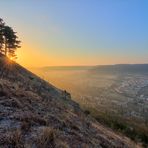 Guten Morgen Jena