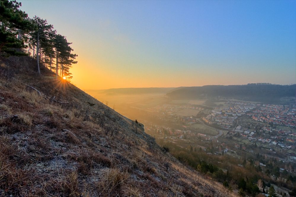 Guten Morgen Jena