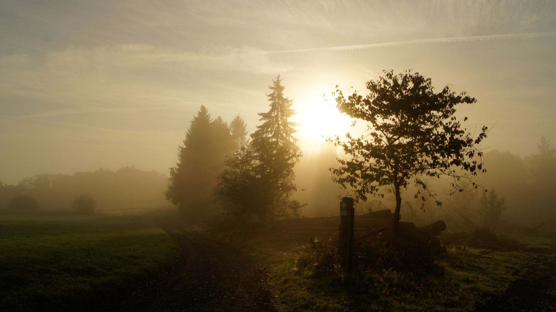 Guten Morgen Kellerwald