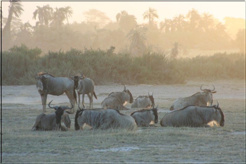 Guten Morgen Kenya!