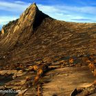 Guten Morgen Kinabalu