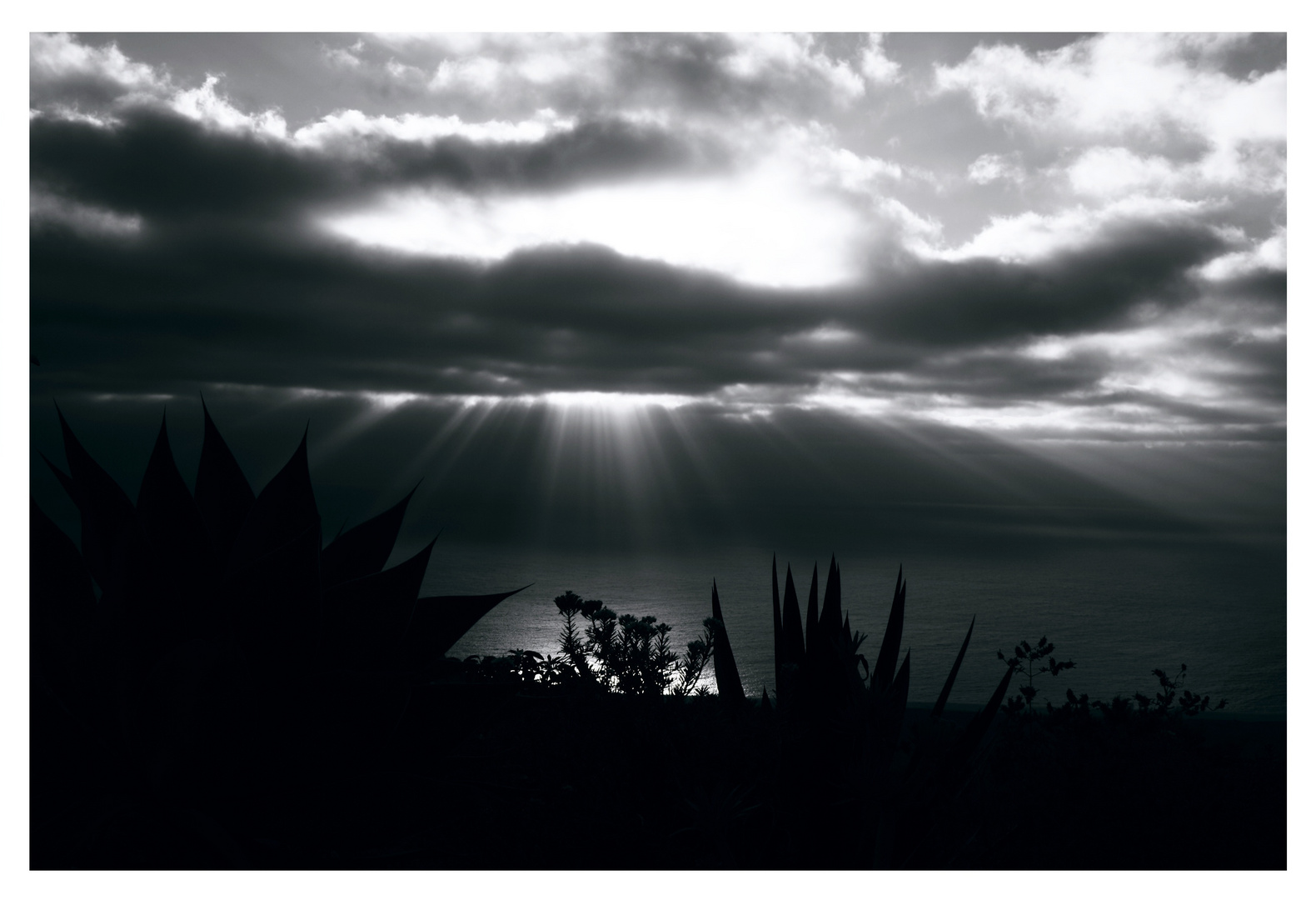 Guten Morgen La Palma