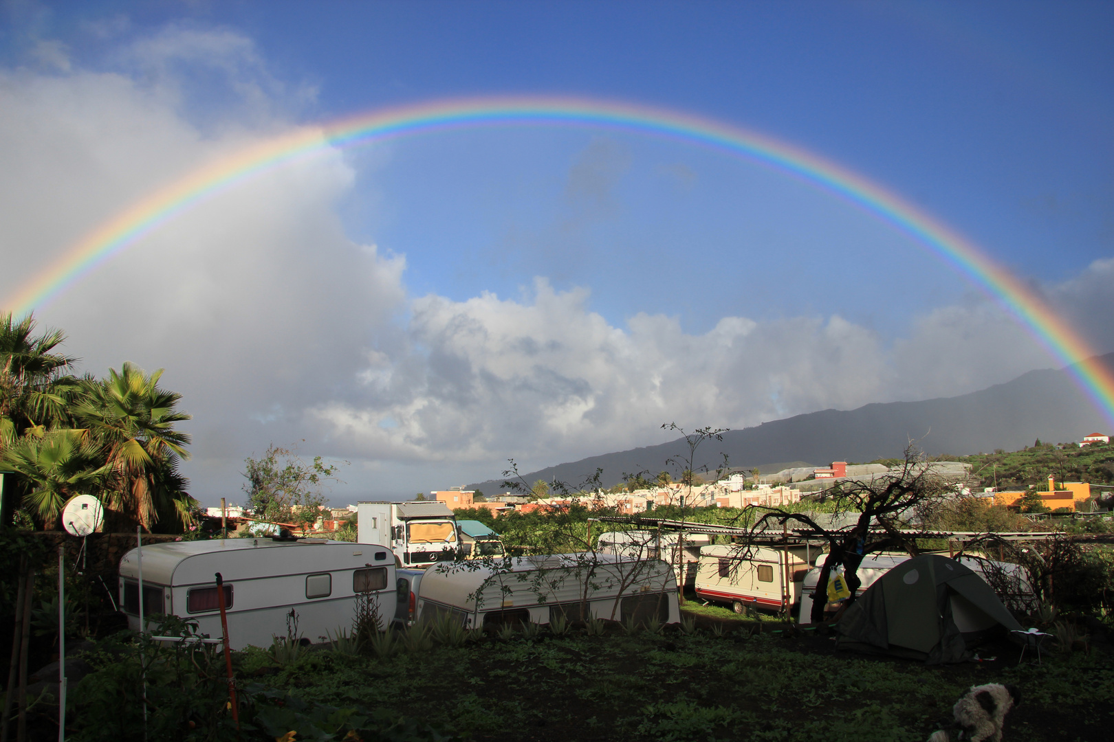 Guten Morgen La Palma!