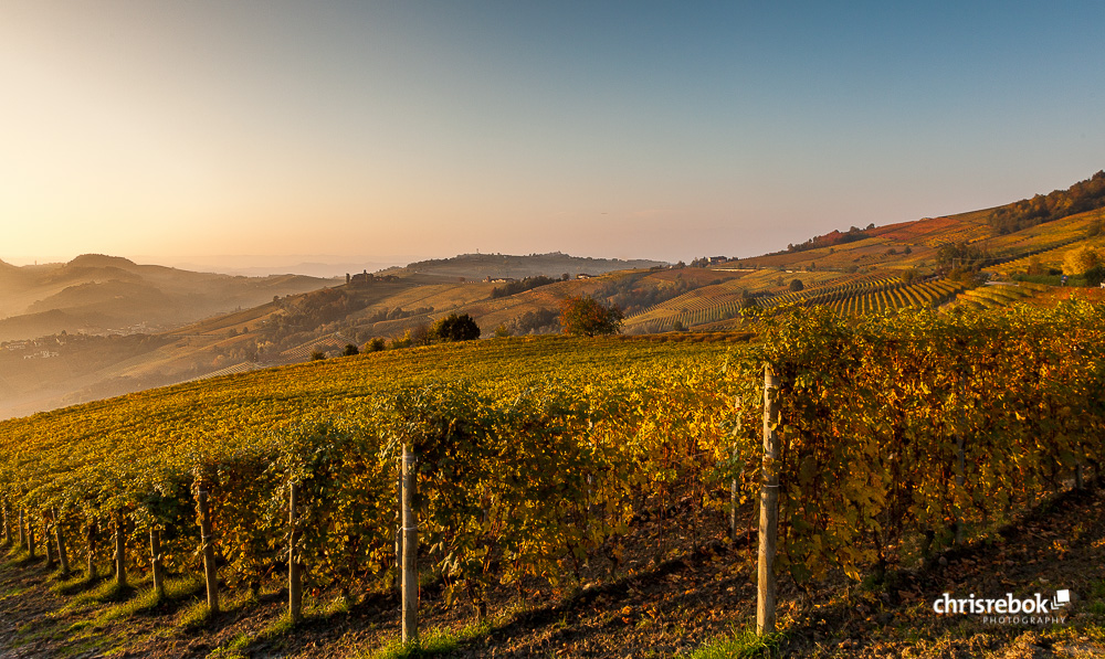 Guten Morgen Langhe