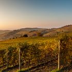 Guten Morgen Langhe