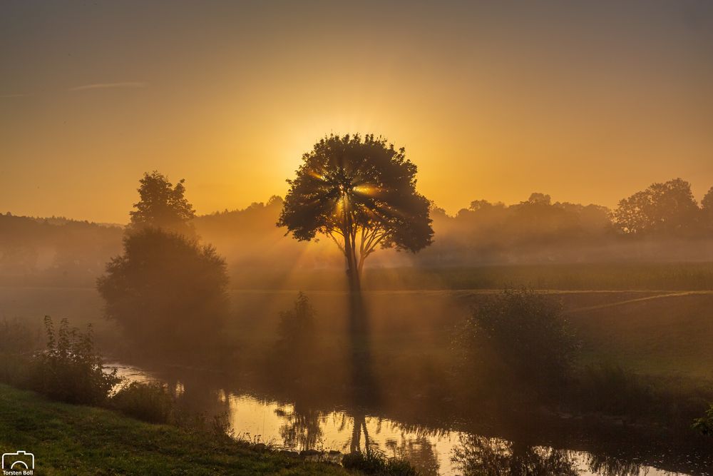 Guten Morgen Lauchringen......