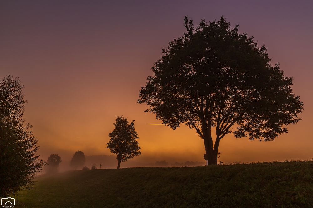 Guten Morgen Lauchringen......