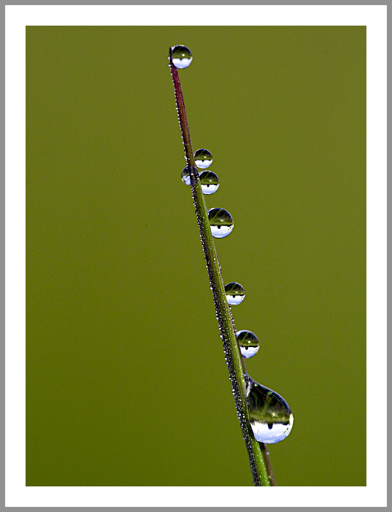 Guten Morgen - Liebe kleine Glaswelten