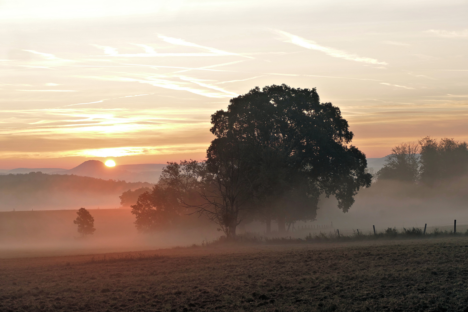 guten Morgen liebe Sonne 