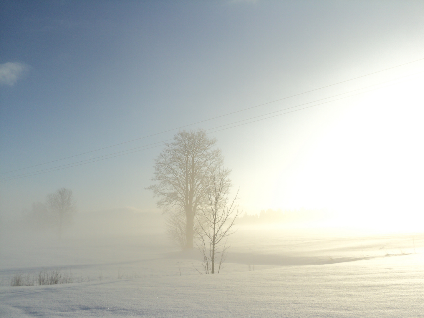 ""Guten Morgen liebe Sonne""